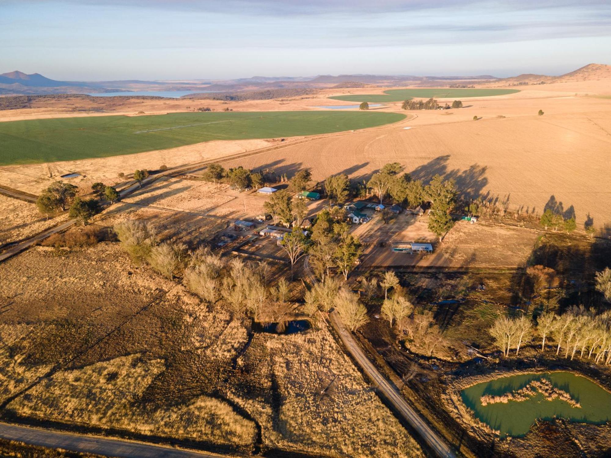 Dalmore Guest Farm Bergville Εξωτερικό φωτογραφία
