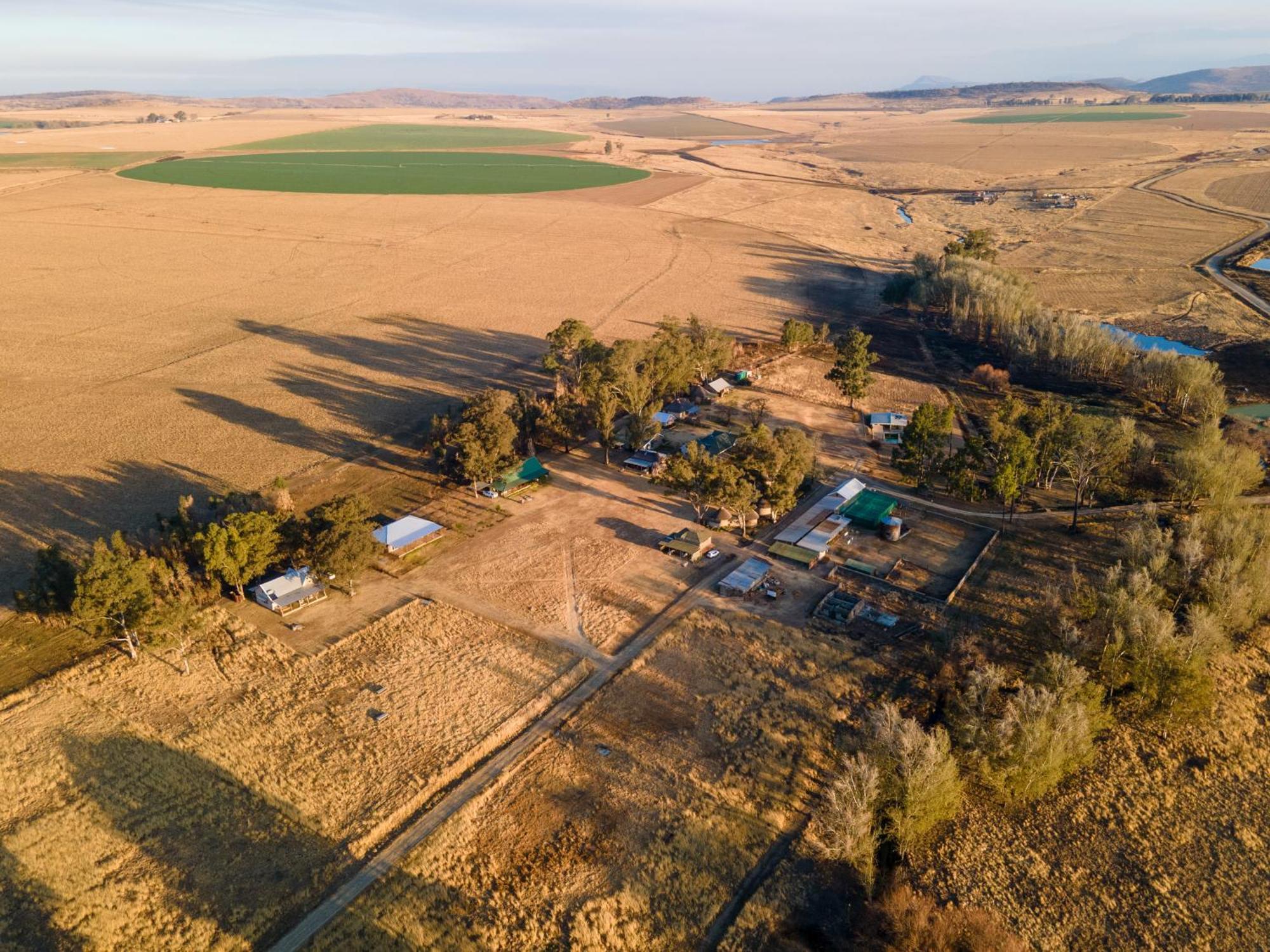 Dalmore Guest Farm Bergville Εξωτερικό φωτογραφία